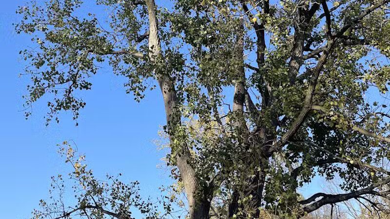 Labo Park - Rockwood,