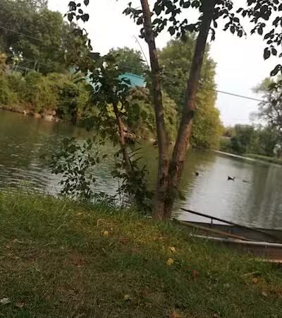 Labo Park - Rockwood,