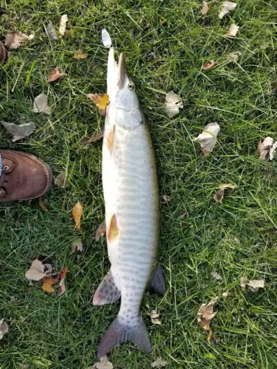 Labo Park - Rockwood,