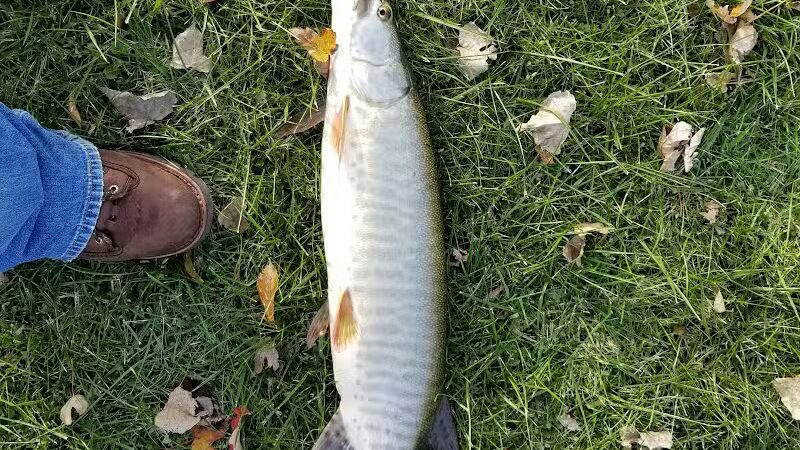 Labo Park - Rockwood,