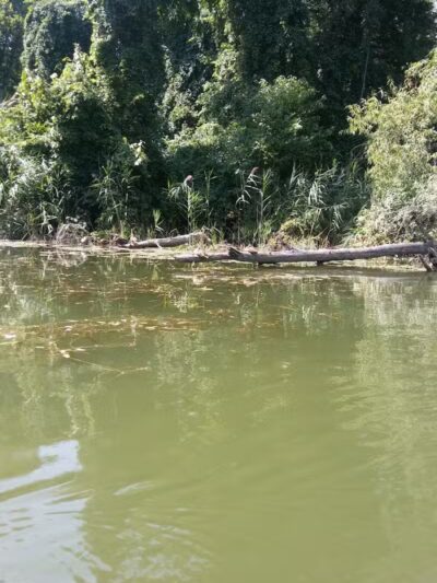 Labo Park - Rockwood,