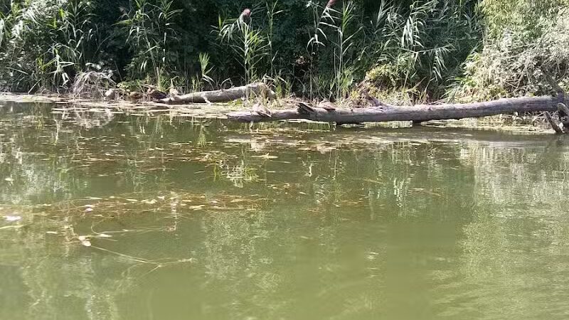 Labo Park - Rockwood,