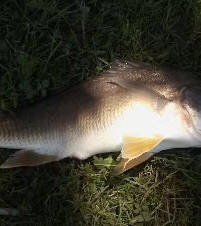 Labo Park - Rockwood,