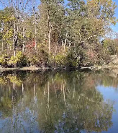 Labo Park - Rockwood,