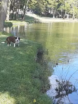 Labo Park - Rockwood,