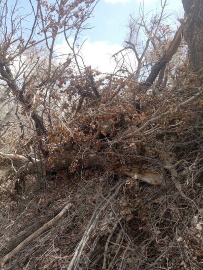 Rocky ford fairgrounds RV and camper parking - Rocky Ford, CO