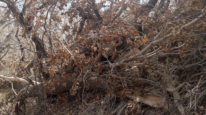 Rocky ford fairgrounds RV and camper parking - Rocky Ford, CO