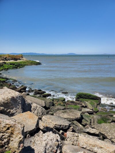 Lone Tree Point - Rodeo, CA