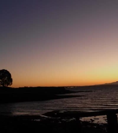 Lone Tree Point - Rodeo, CA