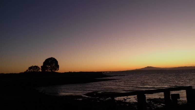Lone Tree Point - Rodeo, CA