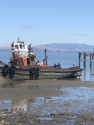 Lone Tree Point - Rodeo, CA