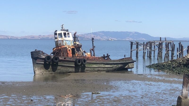 Lone Tree Point - Rodeo, CA