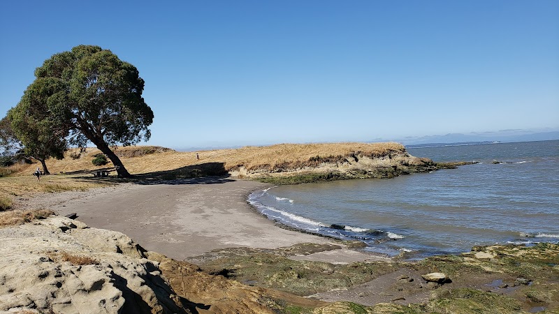 Lone Tree Point - Rodeo, CA