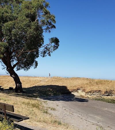 Lone Tree Point - Rodeo, CA