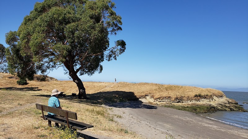 Lone Tree Point - Rodeo, CA