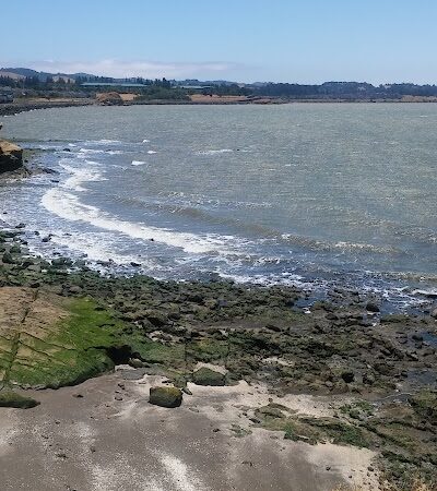 Lone Tree Point - Rodeo, CA