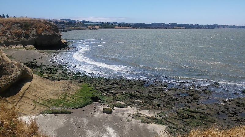 Lone Tree Point - Rodeo, CA