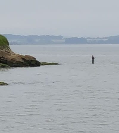 Lone Tree Point - Rodeo, CA