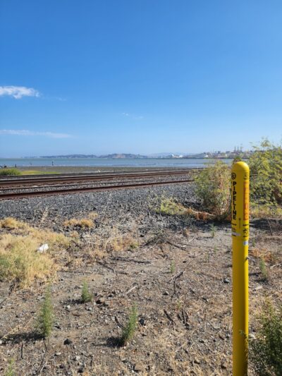 Lone Tree Point - Rodeo, CA