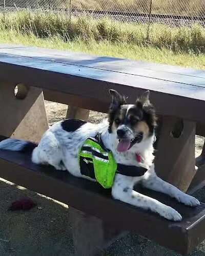 Lone Tree Point - Rodeo, CA