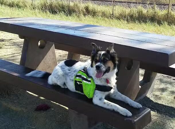 Lone Tree Point - Rodeo, CA