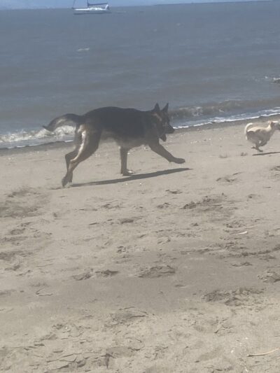 Rodeo Beach - Rodeo, CA