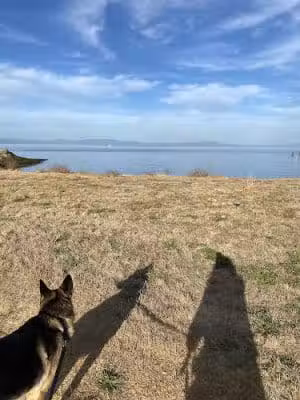 Rodeo Beach - Rodeo, CA