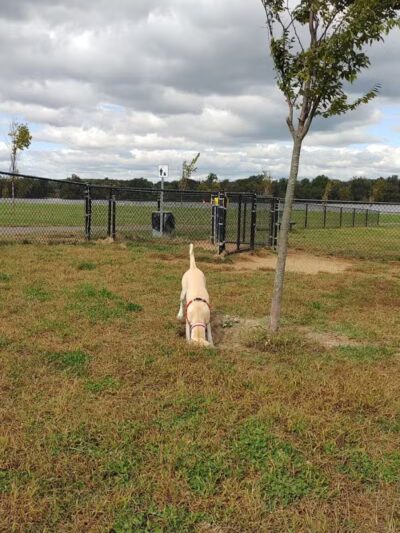 Florence Township Dog Park - Roebling,