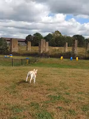 Florence Township Dog Park - Roebling, NJ
