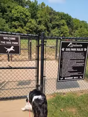 Lake Atlanta Dog Park - Rogers, AR