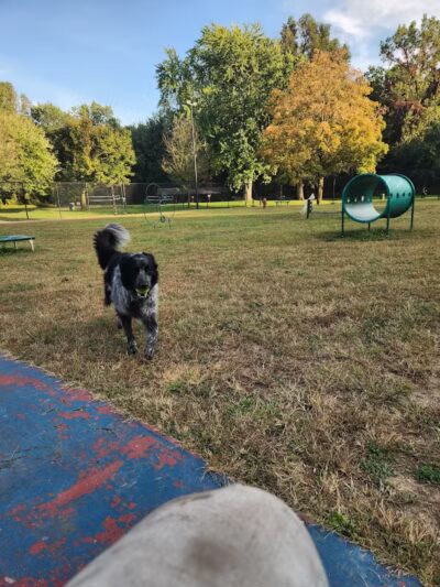 Elmer Johnson Park - Romulus,