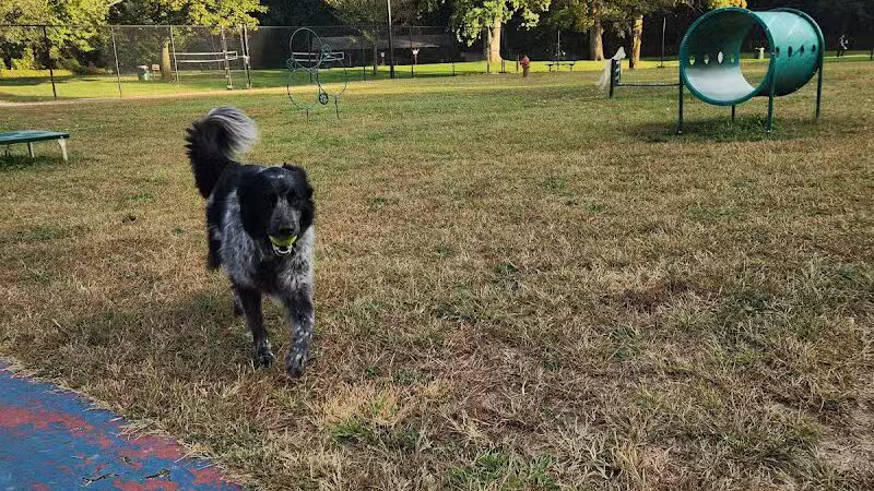 Elmer Johnson Park - Romulus,