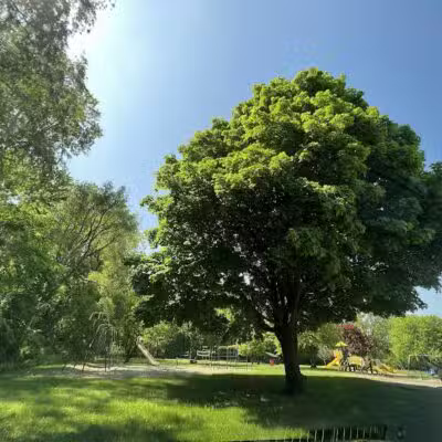 Elmer Johnson Park - Romulus,