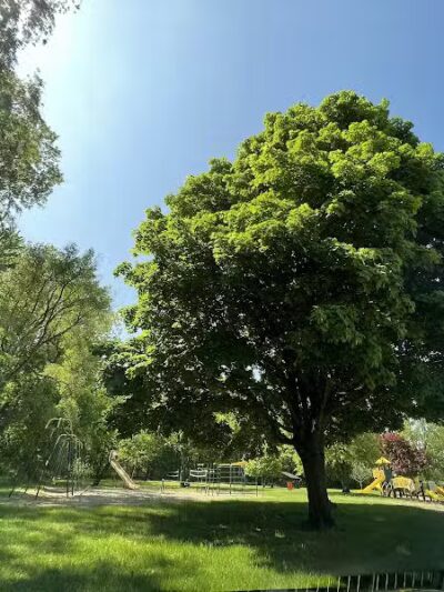 Elmer Johnson Park - Romulus,