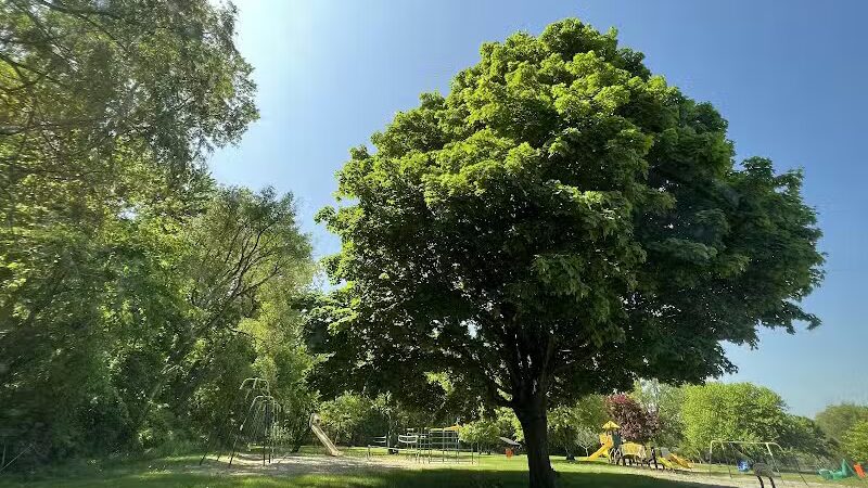 Elmer Johnson Park - Romulus,