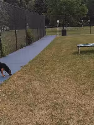 Elmer Johnson Park - Romulus,