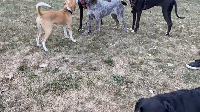 Oakbrook Dog Park - Romulus,
