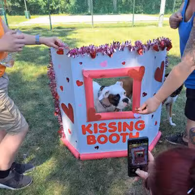 Oakbrook Dog Park - Romulus,