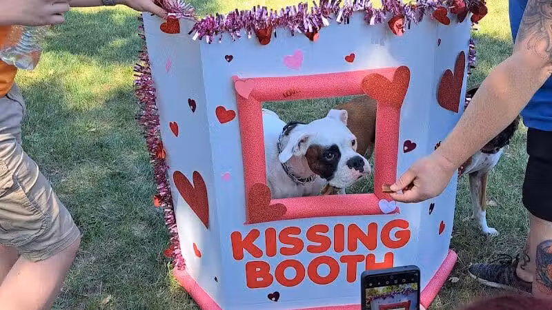 Oakbrook Dog Park - Romulus,