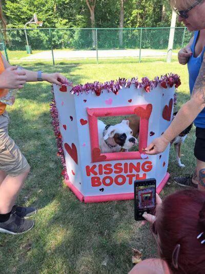 Oakbrook Dog Park - Romulus,