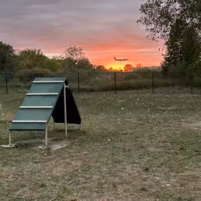 Oakbrook Dog Park - Romulus,
