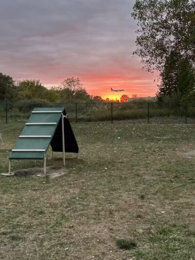 Oakbrook Dog Park - Romulus,
