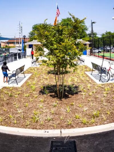 Centennial Park - Roosevelt, NY