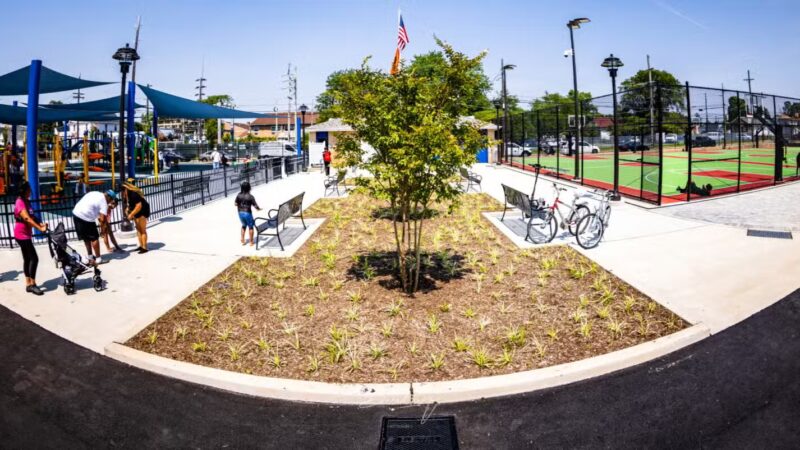 Centennial Park - Roosevelt, NY