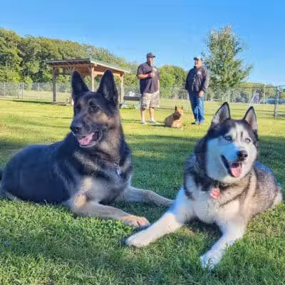 Markey Memorial Dog Park - Roscommon, MI