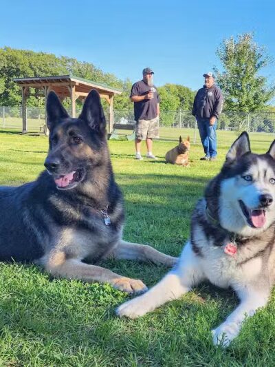 Markey Memorial Dog Park - Roscommon, MI