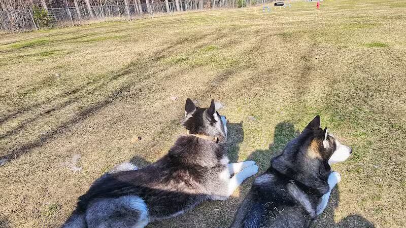 Markey Memorial Dog Park - Roscommon, MI