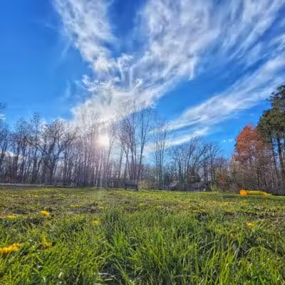 Markey Memorial Dog Park - Roscommon, MI