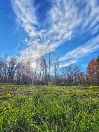 Markey Memorial Dog Park - Roscommon, MI
