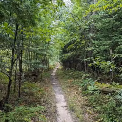 Mason Tract - Roscommon,